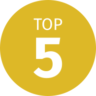 Top 5 člankov